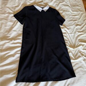 Zara Black Collared Dress